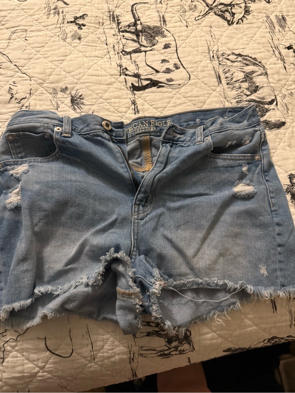 American Eagle Outfitters Light Wash Distressed Denim Cutoff Shorts